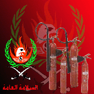 شركة السلامة العامة 