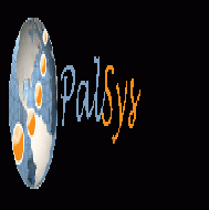 بال سس PalSys لتكنولوجيا المعلومات 