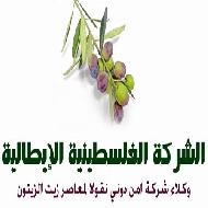 الشركة الفلسطينية الايطالية 