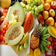 مشتل الوردة الحمراء  - الخليل