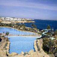 شركة الاولى للسياحة والسفر والحج ...