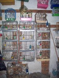 عالم الطبيعة 