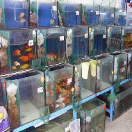 شركة مواسم للتنمية المستدامة - حد...