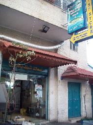 اسماك شبك يافا 