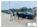 مرسيدس E200 1993 Image 3