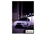 سيت ليون 2014