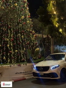 مرسيدس بنز الفئة-M 2015 Image 2