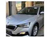 سكودا أخرى 2019