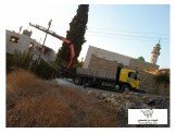 فولفو FM 12 2002 Image 3