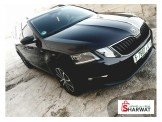 سكودا اوكتافيا 2019 Image 2