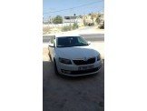 سكودا  اوكتافيا  موديل 2013 Image 3