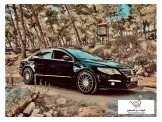 فولكسفاجن باسات 2011