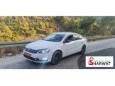 فولكسفاجن باسات 2013