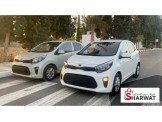 كيا Kia كيا بيكانتو 2019