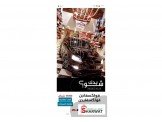 فولكسفاجن بولو 2011