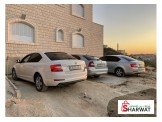 سكودا اوكتافيا 2015 Image 2