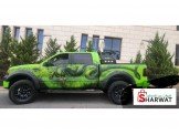 فورد  F-150 تندر 2008 Image 2