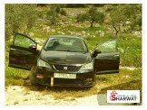 سيت ابيزا 2014