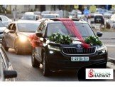 سكودا  كودياك 2017 Image 3