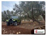 Jeep شيروكي 1979 Image 3
