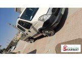 أفيكو  ديلي 2013