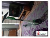 سكوتر كهربائي  Image 3