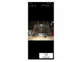 عدة مقهى كوفي شوب مطعم كراسي وطاولات وثلاجات Image 2