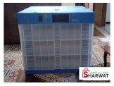 فقاسة بيض دجاج