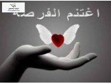 بناء، تشطيب، تبديل، بيع، شراء، تس...