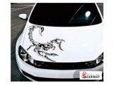 ماكنه طباعه وكتابه للسيارات 
