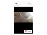 عربايه فلافل كاملة  Image 2