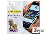 منصة تدريبكم راح تفاجئكم بمجموعة مميزة من الفرص المجانية والدورات التدريبية في عدة مجالات ومحافظات Image 2