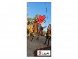 مهرة عربيه اصيله Image 3