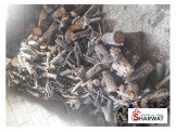 حطب زيتون للبيع  Image 3