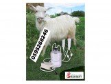 حلابات للاغنام 5لترتعمل ع بطاريه  Image 3