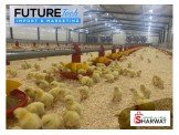مستلزمات بركسات الدواجن المغلقة  Image 3
