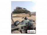 تركترون  Image 2