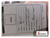 قطة انثى للبيع  Image 3