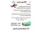 VIP
