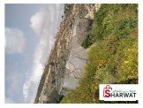 بيت بلاستك زراعي 