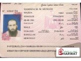 فيز امريكا السياحه والطلبه