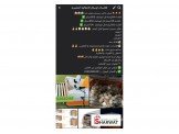 فقاسات اوسكار بيض بجميع الاحجام Image 3