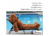 شروة العاب