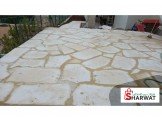 حجر ديكور وجناين طبيعي Image 3