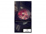 فحم .. نخب اول بسعر منافس Image 3