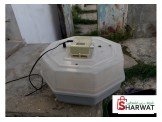 فقاسه 60 بيضة  Image 2