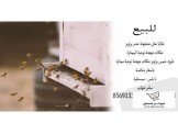 خلايا نحل 