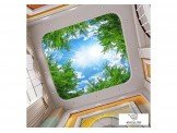 شركة الحسن للاسقف المشدودة و3D Image 2