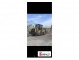 Caterpillar Image 2