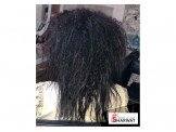 بكجات علاجية وبروتين تمليس  Image 3